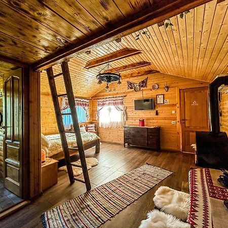 Chalets Du Bf 시기쇼아라 외부 사진