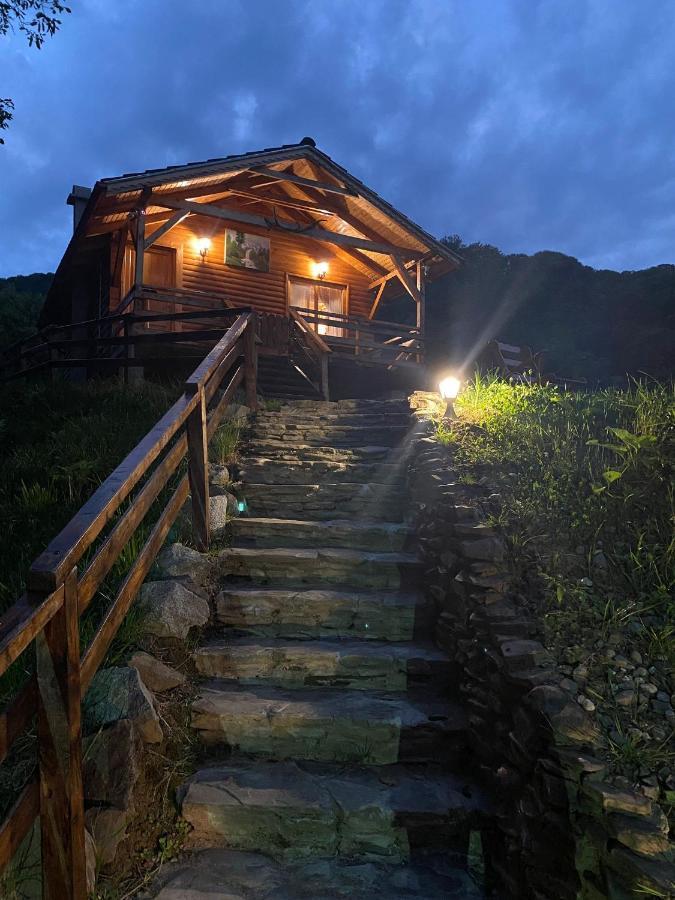 Chalets Du Bf 시기쇼아라 외부 사진
