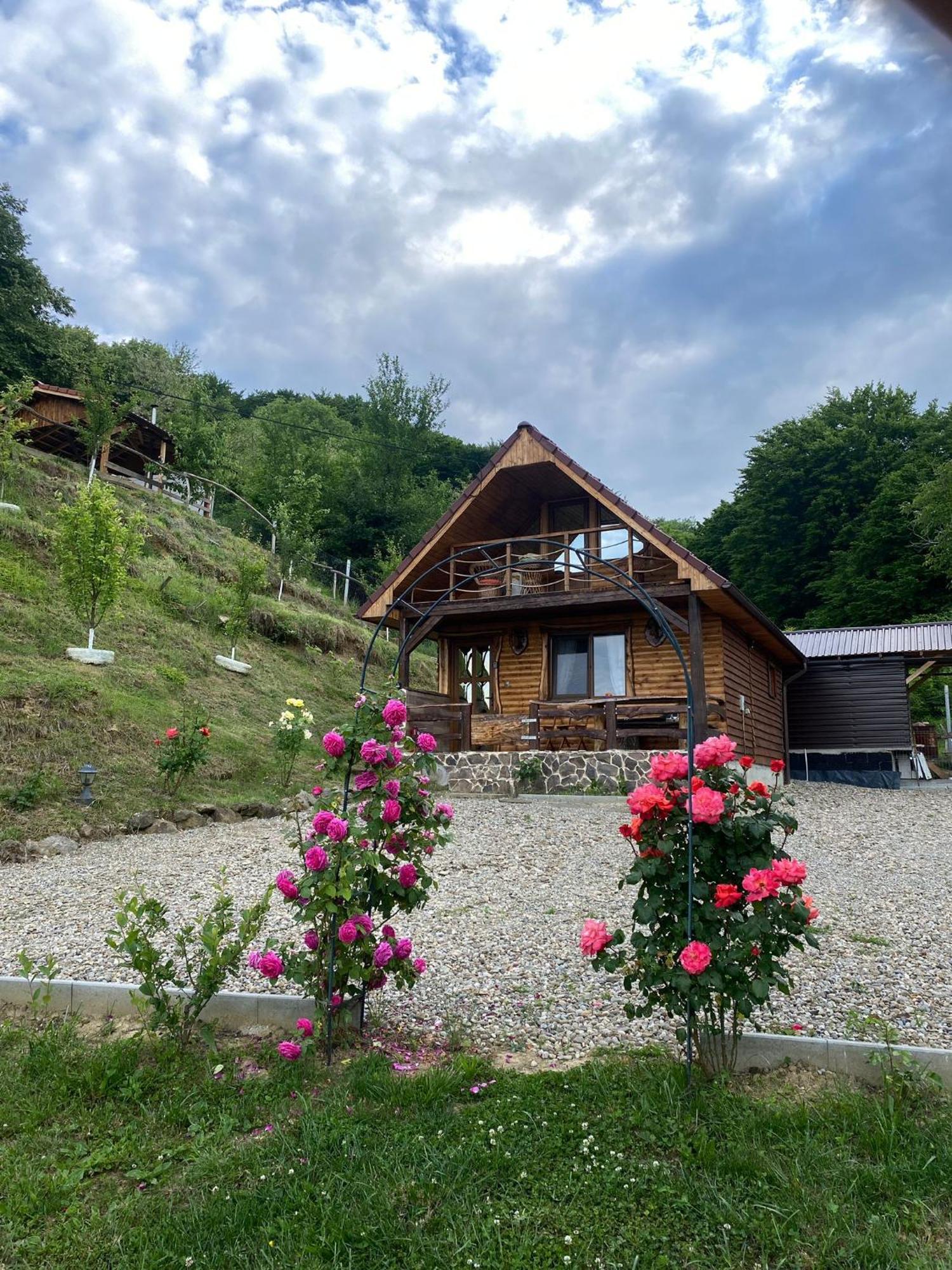 Chalets Du Bf 시기쇼아라 외부 사진